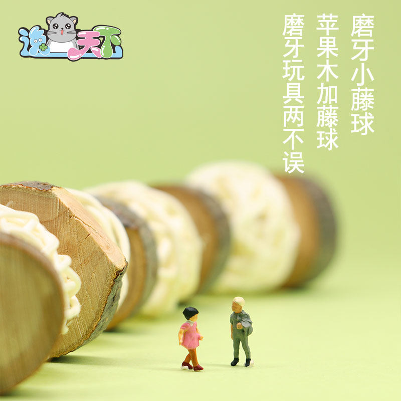 龙猫兔子荷兰猪苹果木磨牙玩具