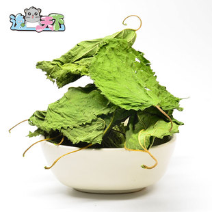 150克袋装 25年炒鸡香嫩绿桑叶片龙猫兔子天竺鼠 桑叶干清凉降火