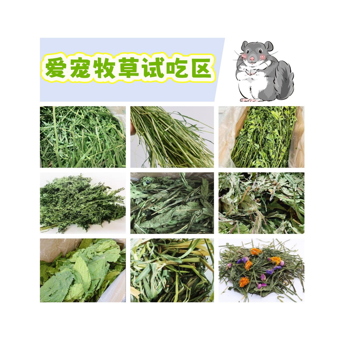 限购2份 龙猫兔兔豚鼠营养磨牙烘干干草试吃装 20g,宠物/宠物食品及用品,兔兔干草,淘宝优惠券,粉丝福利购,淘宝优惠卷