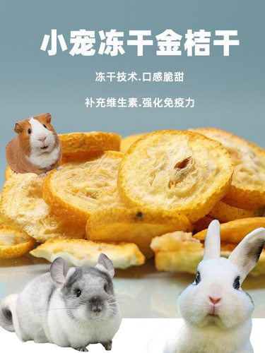 龙猫兔子宠物零食金桔补充维生素
