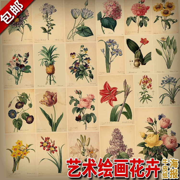 20-100张复古和风牛皮纸海报 雷杜德艺术绘画花卉装饰墙画