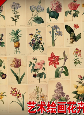 雷杜德古董版画植物图鉴艺术绘画花卉复古牛皮纸海报 装饰墙画