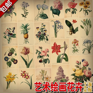 雷杜德古董版画植物图鉴艺术绘画花卉复古牛皮纸海报 装饰墙画