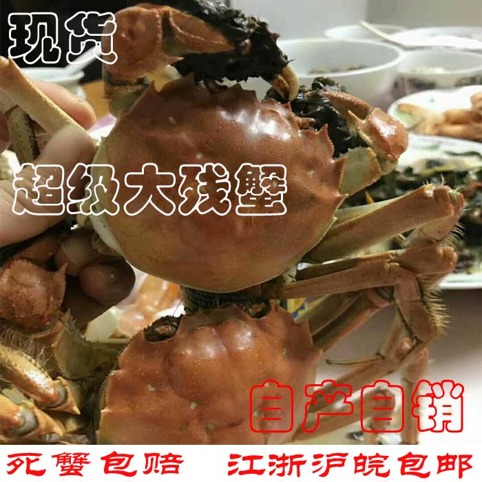 断脚蟹大闸蟹残蟹螃蟹