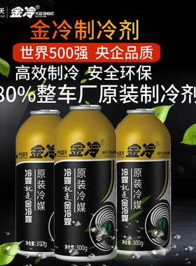 金冷媒R134a制冷剂汽车空调HFC-134a冷媒300克环保雪种车用氟利昂