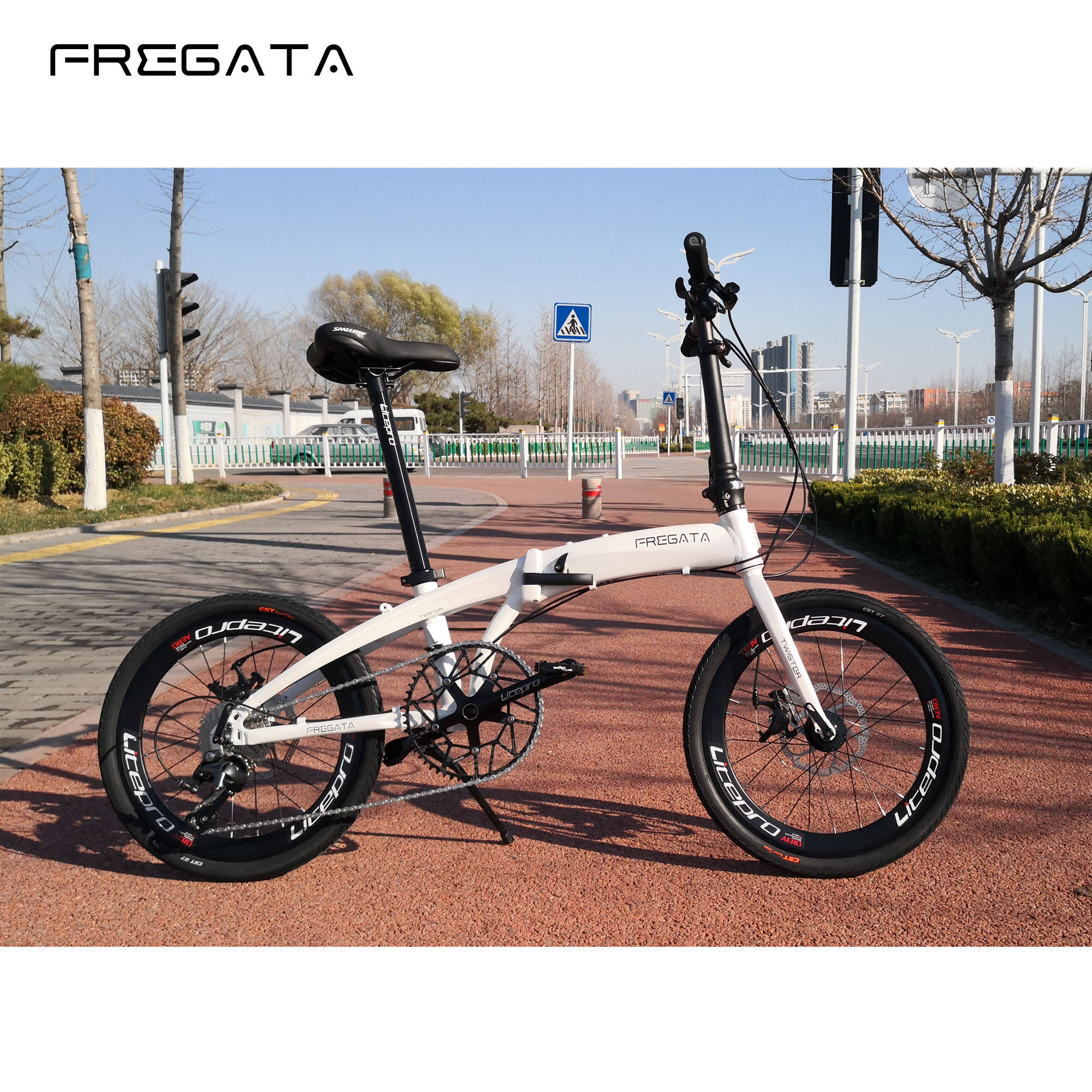 FREGATA折叠自行车P10折叠车碟刹10速20寸海豚车架P架铝合金单车