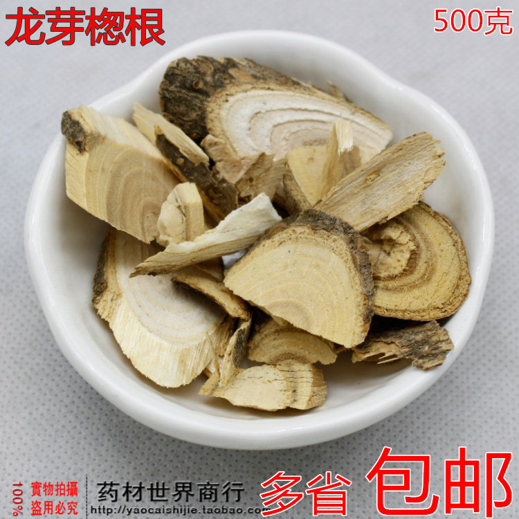 中药材冷背龙芽檧根 刺龙芽根 