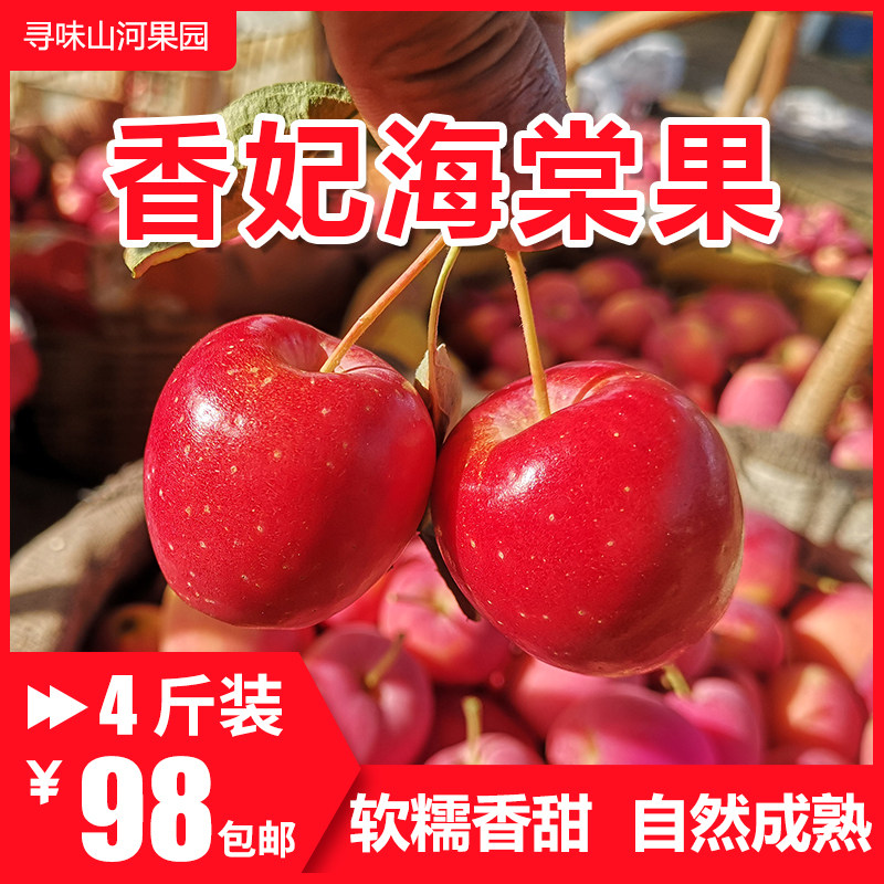 【已下架】新疆香妃海棠果鸡心果锦绣海棠高甜低酸小苹果顺丰包邮