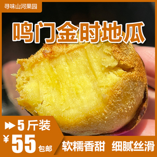 【22号排单发】海南鸣门金时地瓜日本品种番薯红薯软糯香甜无丝包