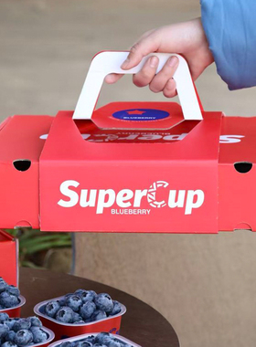 【顺丰空运】亲亲匠品SuperCup超级杯高原25蓝莓花香新鲜水果礼盒