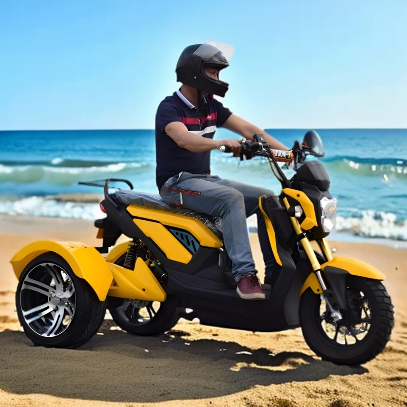新款鼎森战警电动三轮沙滩车摩托不倒翁电动车休闲个性老年电动车