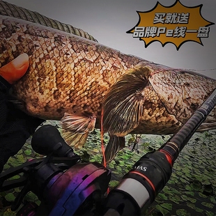 德米克耀月灭霸大物雷强轮打黑强悍水滴轮全金属远投路亚防炸线