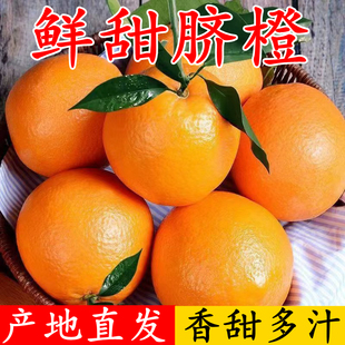 橙子当季水果湖北宜昌正宗脐橙9斤装新鲜冰糖甜橙大柑橘纽荷尔