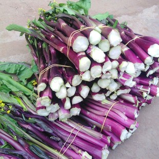 湖北红菜苔新鲜脆嫩农家蔬菜自种青菜当季菜心时令紫菜薹菜台现摘