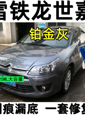 东风雪铁龙世嘉铂金灰色汽车