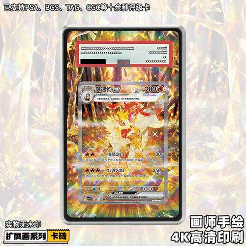 风速狗ex扩展画宝可梦PTCG拓展卡砖盾评级裸卡擴展手绘卡磚防UV
