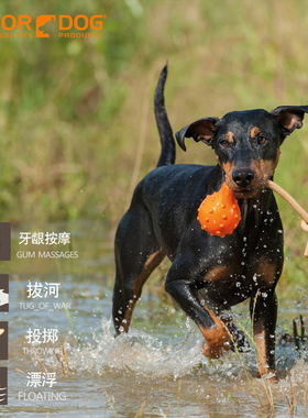 德国MAJOR Dog 中大型狗狗玩具浮水梨大号31037