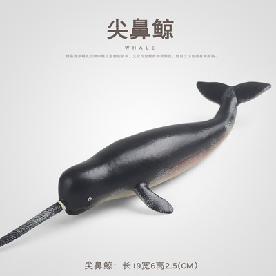儿童认知实心仿真海洋动物玩具模型尖鼻鲸一角鲸独角鲸鱼认知摆件