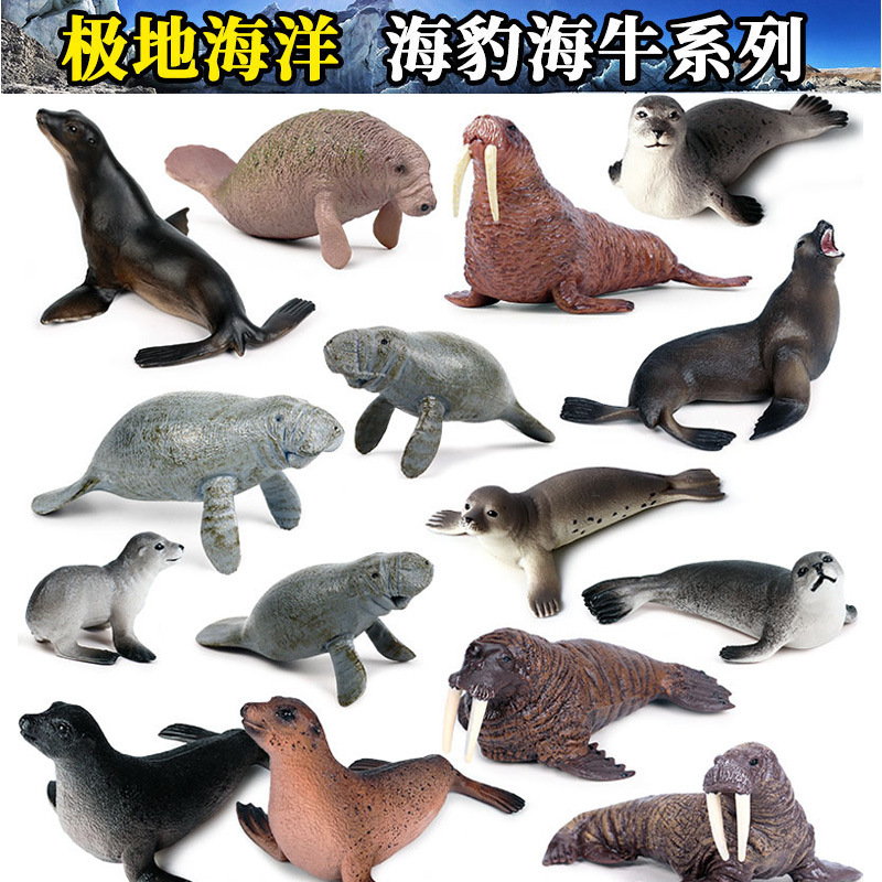 儿童科教仿真实心静态海洋生物模型海豹海象海牛海狗塑胶玩具摆件