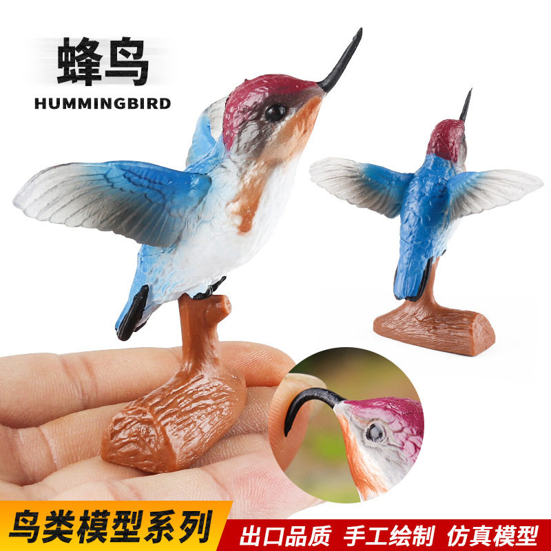 跨境科教认知仿真动物蜂鸟鸟类飞禽野生动物模型玩具桌面景观摆件