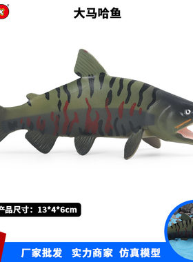 跨境儿童认知仿真海洋生物动物模型大马哈鱼北鳟罗锅鱼麻糕鱼摆件