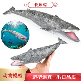 儿童仿真海洋动物模型软胶长须鲸虎鲸白鲸蓝鲸海豹水族馆玩具摆件