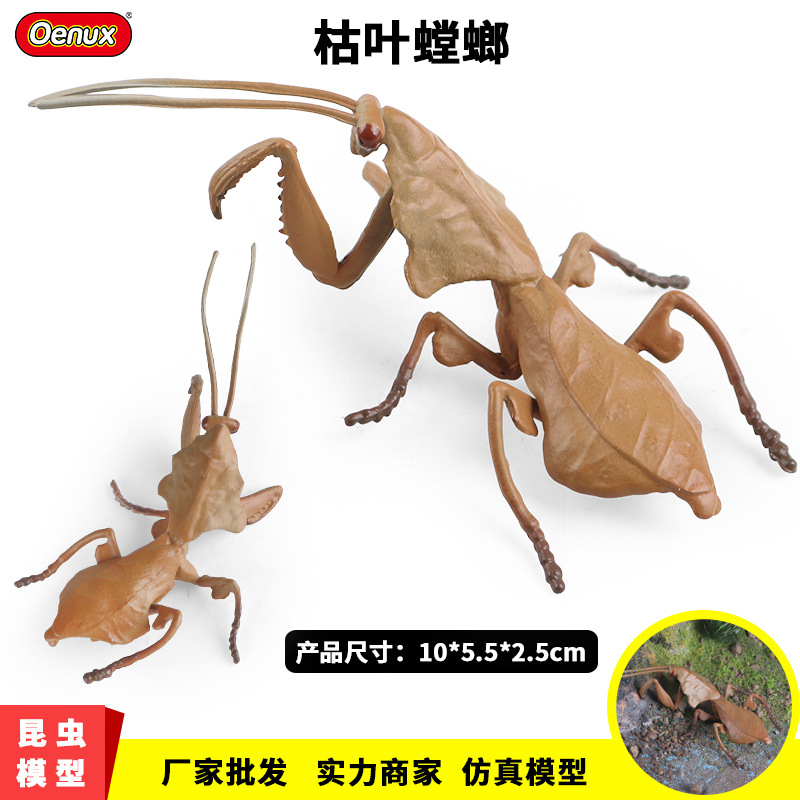 跨境儿童科氏启蒙仿真野生昆虫模型枯叶螳螂蜘蛛背螳整蛊玩具摆件