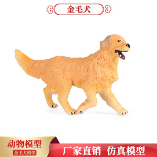 跨境仿真实心金毛犬动物玩具模型寻回犬猎犬认知家居桌面车载摆件