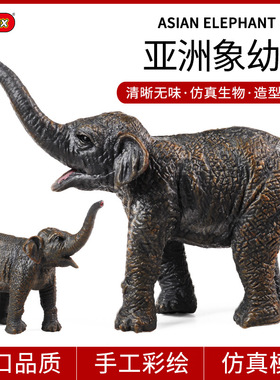儿童认知仿真静态实心野生动物亚洲象幼崽大象模型玩具家居摆件