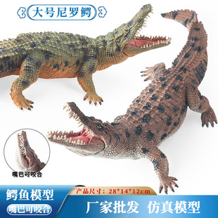 儿童认知玩具野生大号鳄鱼动物模型仿真尼罗鳄野猪鳄鱼帝鳄扬子鳄