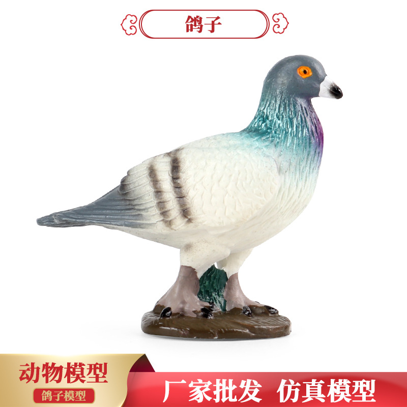 儿童蒙氏教具仿真实心鸟类动物模型鸽子广场鸽子信鸽认知玩具摆件