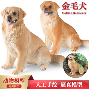 实心动物仿真模型大号金毛寻回犬猎犬宠物狗儿童认知礼品桌面摆件