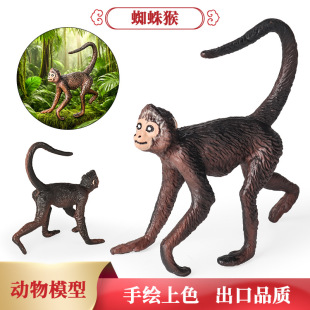 跨境仿真动物模型蜘蛛猴猴子黑猴灵长类猴科动物玩具认知桌面摆件