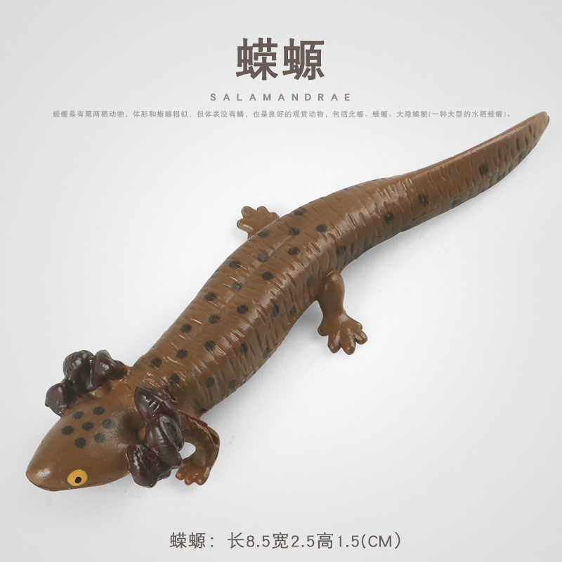 跨境儿童认知仿真两栖动物蝾螈属四脚鱼六角龙淡水鱼早教沙盘模型