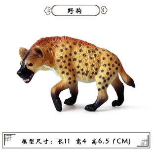 儿童科教仿真野生动物玩具模型非洲鬣狗斑鬣狗土狼摆件动物园玩具