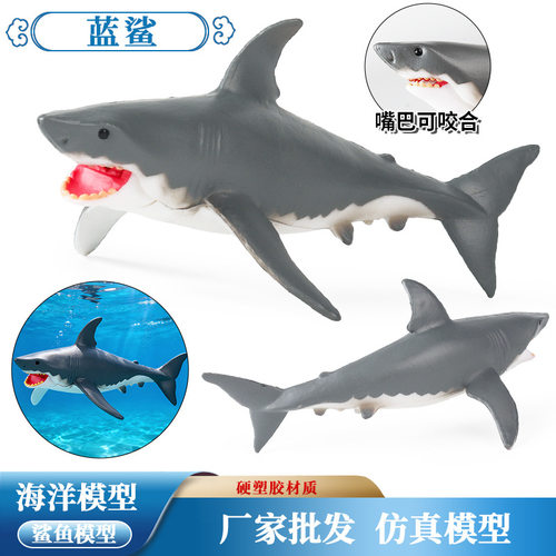 儿童认知仿真蓝鲨鲸鲨虎鲸白鲸鲨鱼海洋动物模型玩具塑胶摆件手办