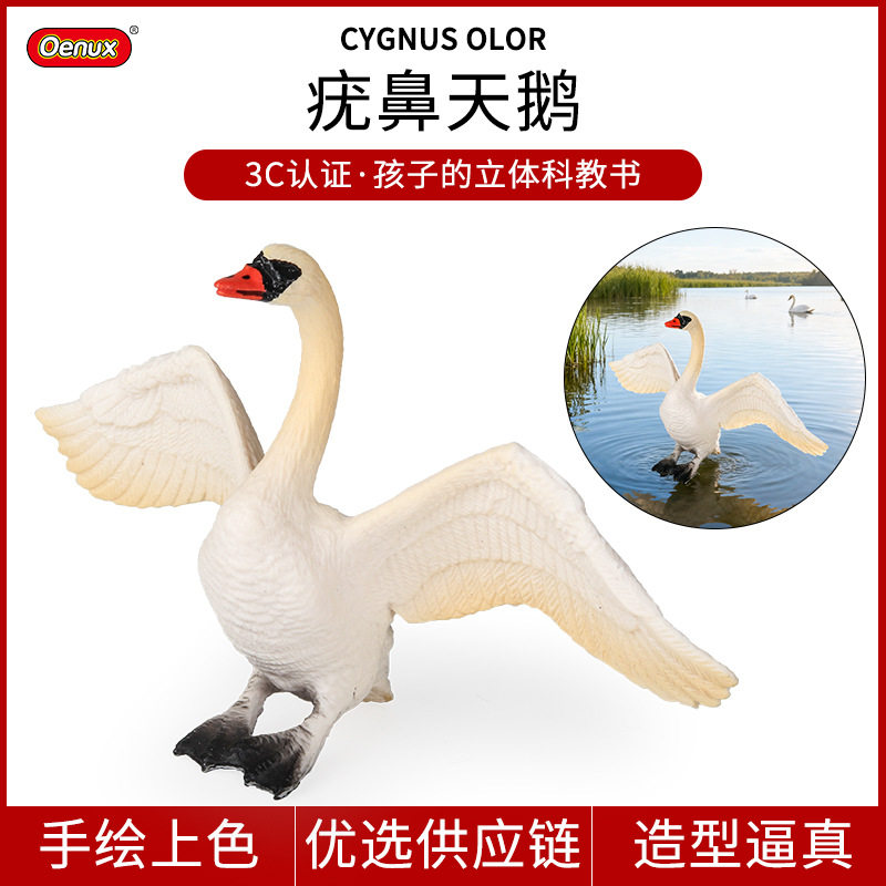 仿真实心动物模型禽类动物玩具 天鹅 疣鼻白天鹅鸟类飞禽认知摆件