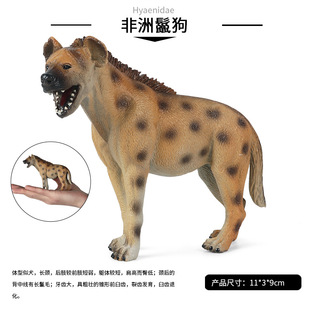 儿童实心仿真野生动物非洲鬣狗模型猎狗土狼摆件认知静态模型玩具