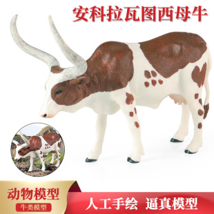 跨境儿童认知安科拉瓦图西公牛母牛仿真牧场动物模型礼品摆件礼物