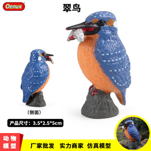 儿童仿真动物鸟类野生模型玩具实心静态雀鸟站立小鸟鹦鹉桌面摆件