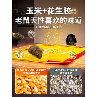 家用一窝端 超强力粘鼠板捉粘大老鼠贴沾胶抓灭鼠捕鼠神器超强正品