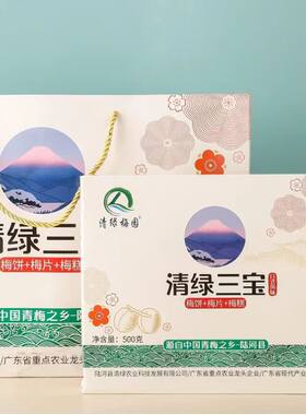 陆河特产青梅清绿梅园清绿三宝日式梅饼乌梅糕片梅饼梅片青梅制品