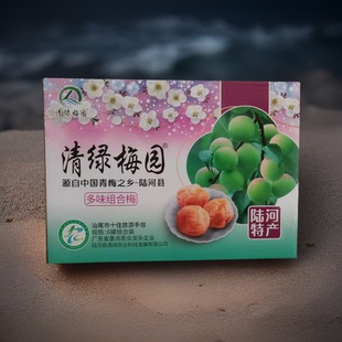 陆河特产青梅清绿梅园陈皮梅片原味青梅陆河梅子陈皮话梅蜂蜜梅子