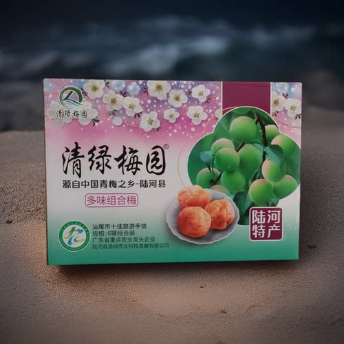 陆河特产青梅清绿梅园陈皮梅片原味青梅陆河梅子陈皮话梅蜂蜜梅子