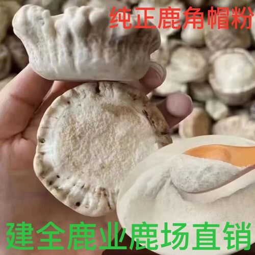 吉林鹿角帽粉250克鹿场直销