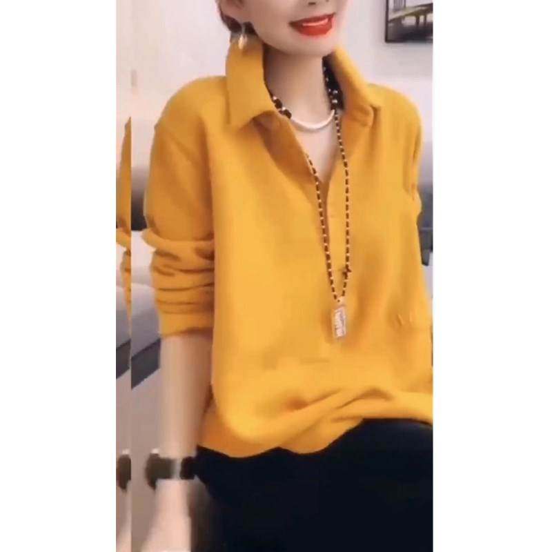 高档品牌236502024秋季新款韩版纯色卫衣女套头翻领宽松显瘦潮