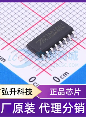 原装正品 TM1651(TA2007) 封装SOP-16 数码管驱动