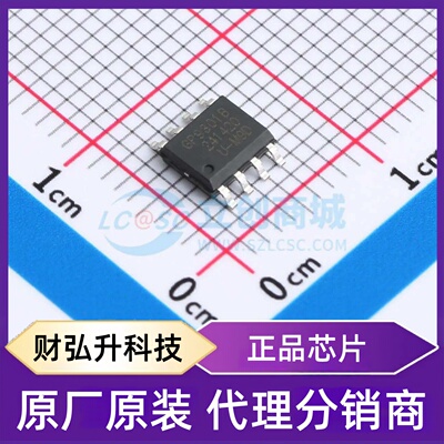 全新原装 GP9301B-F1K-0P8D5V10-SW 封装 SOP-8 ADC/DAC-专用型