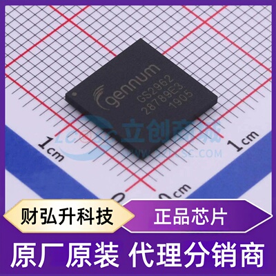 全新原装 GS2962-IBTE3 封装 BGA-100 视频接口芯片