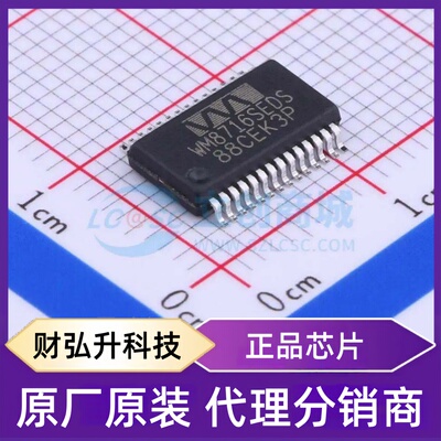原装正品 WM8716SEDS/RV 封装SSOP-28 ADC/DAC-专用型